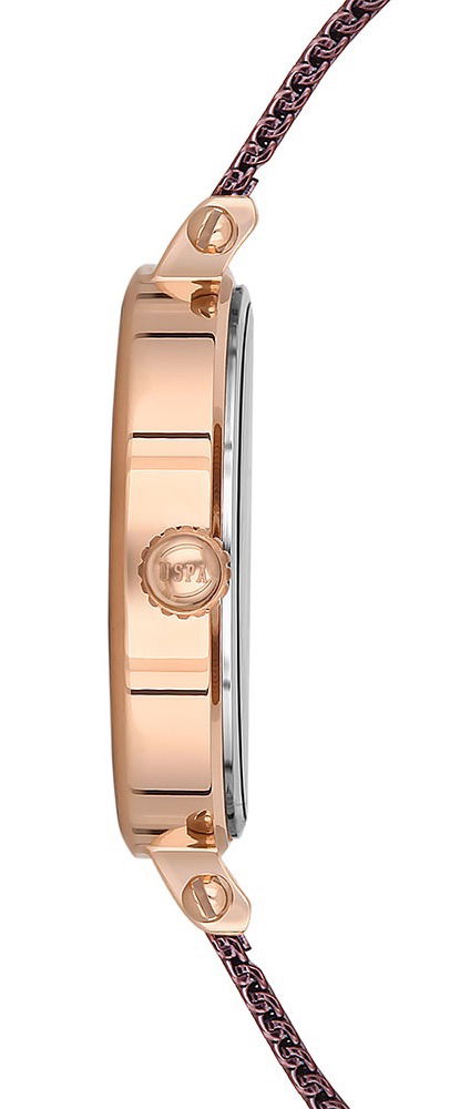 U.s. Polo Assn. Uspa2034-06 Bayan Kol Saati