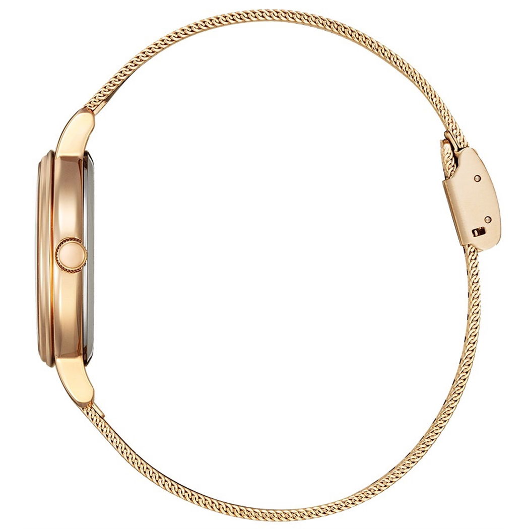 Citizen Ew2447-89a Bayan Kol Saati
