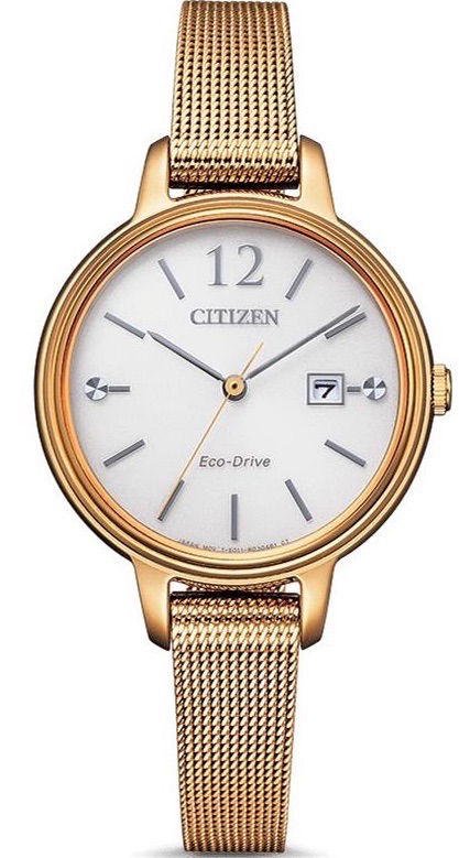 Citizen Ew2447-89a Bayan Kol Saati