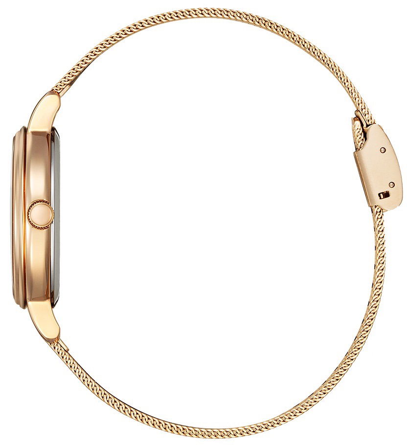 Citizen Ew2447-89a Bayan Kol Saati