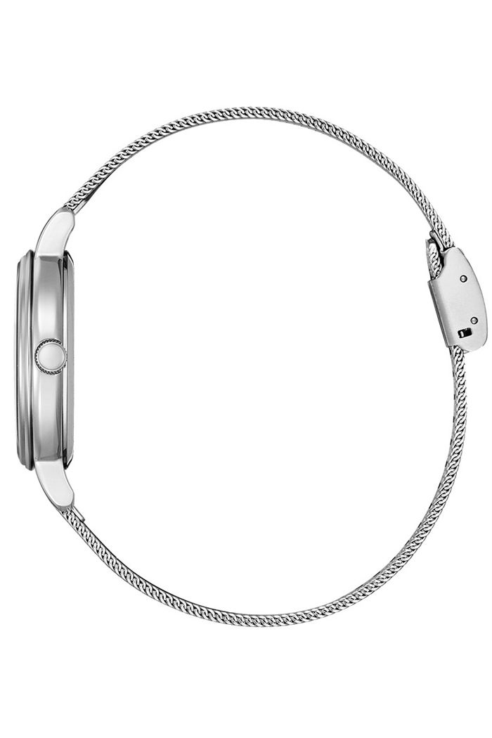 Citizen Ew2449-83a Bayan Kol Saati