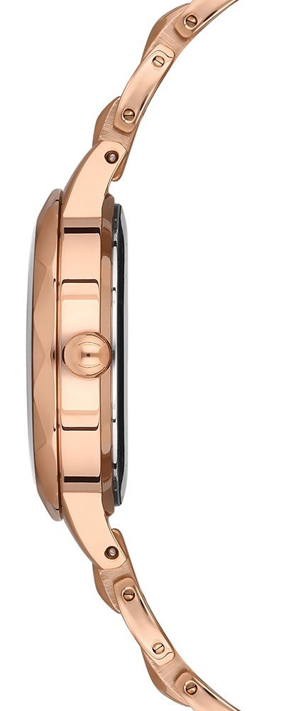 U.s. Polo Assn. Uspa2046-02 Kadın Kol Saati