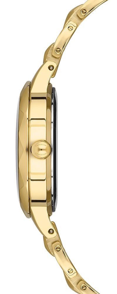 U.s. Polo Assn. Uspa2046-03 Kadın Kol Saati