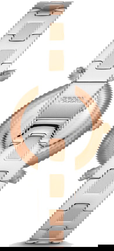 Fossil Fes5201 Kadın Kol Saati