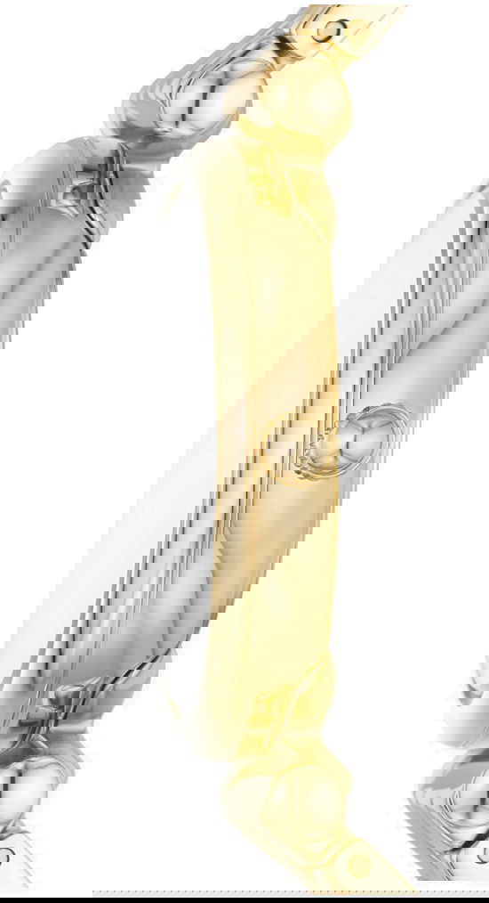 Fossil Fes5203 Kadın Kol Saati