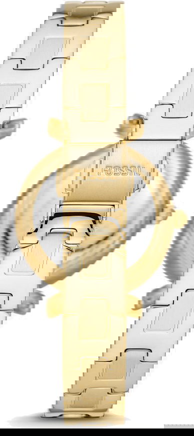 Fossil Fes5203 Kadın Kol Saati