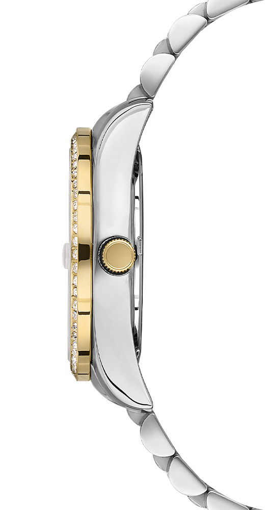 U.s. Polo Assn. Uspa2054-04 Kadın Kol Saati