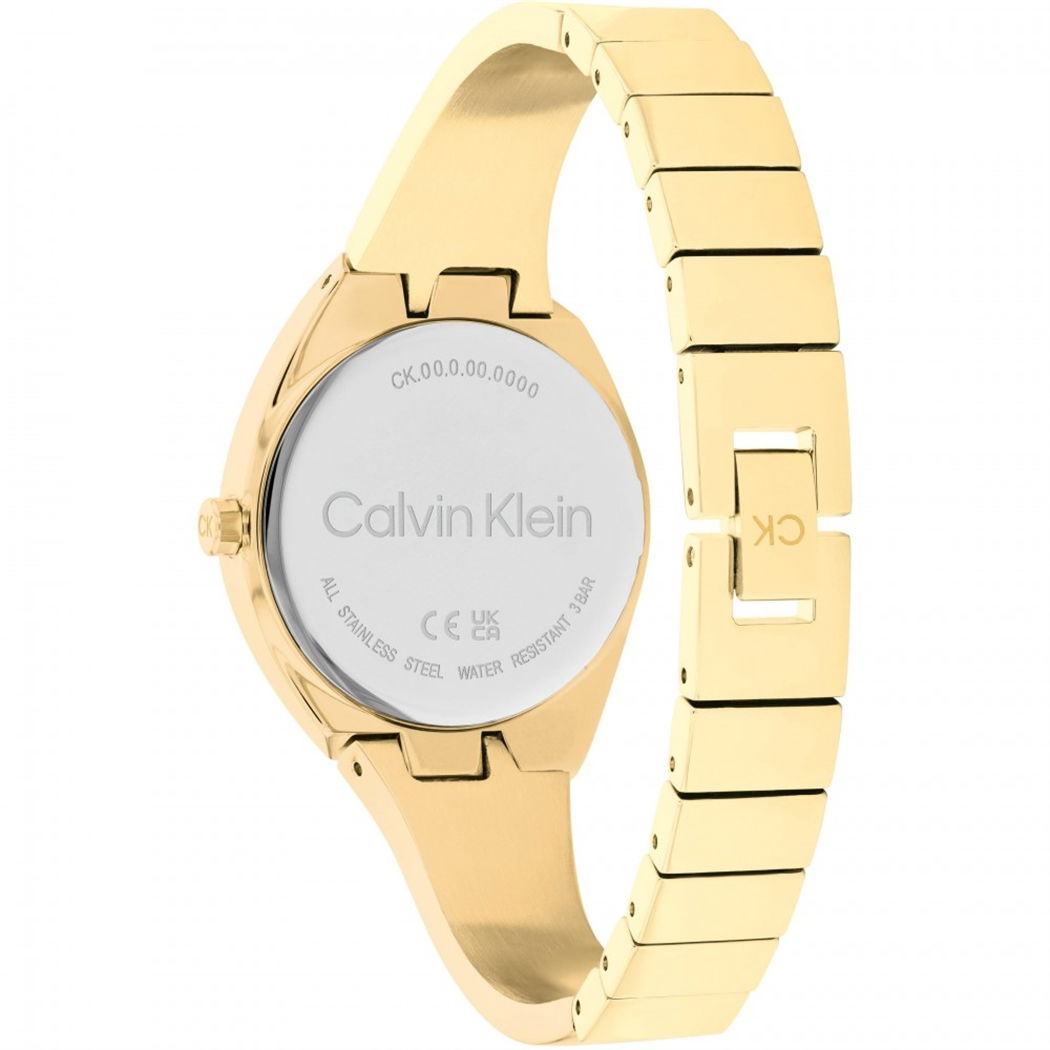 Calvin Klein Ck25200235 Kadın Kol Saati