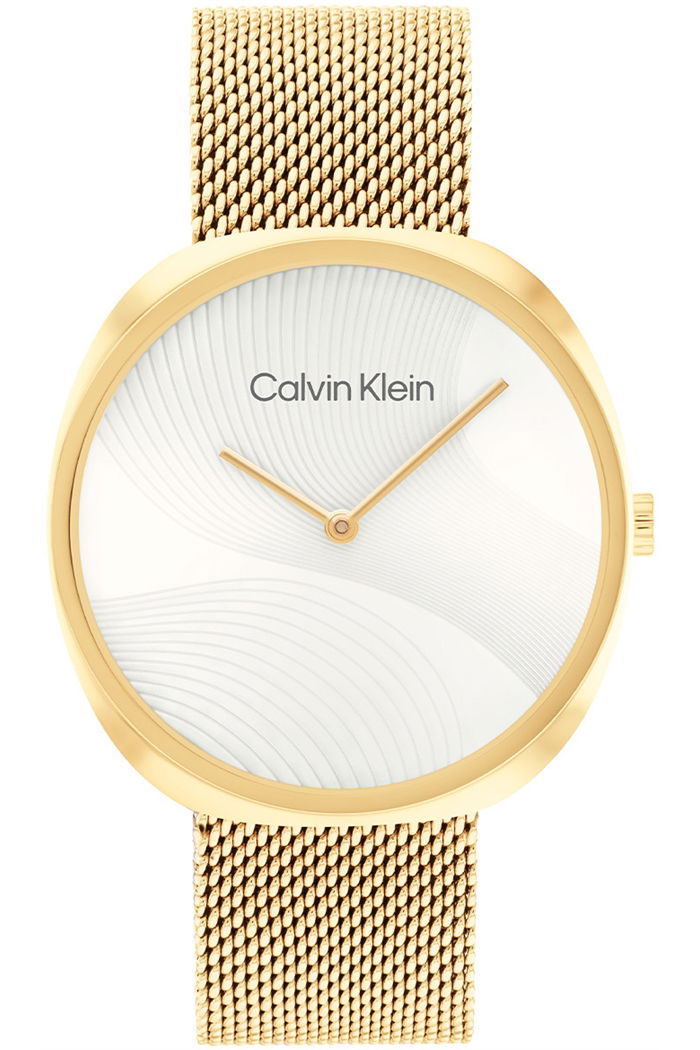 Calvin Klein Ck25200246 Kadın Kol Saati
