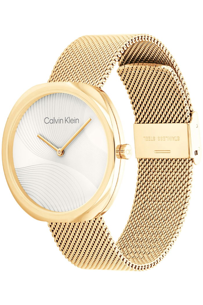 Calvin Klein Ck25200246 Kadın Kol Saati