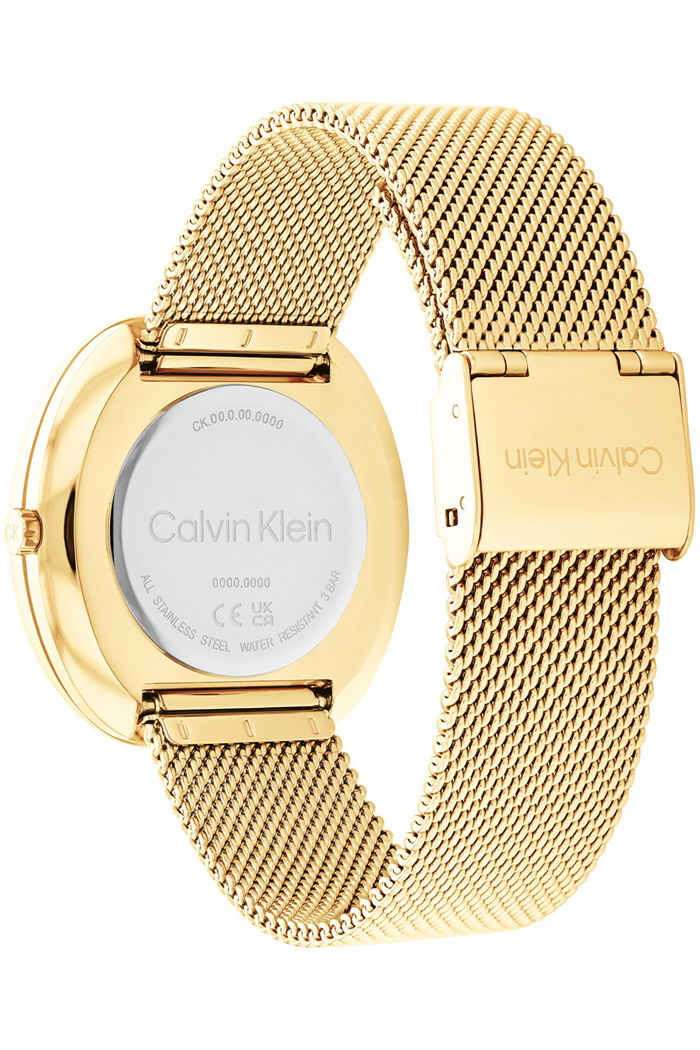 Calvin Klein Ck25200246 Kadın Kol Saati