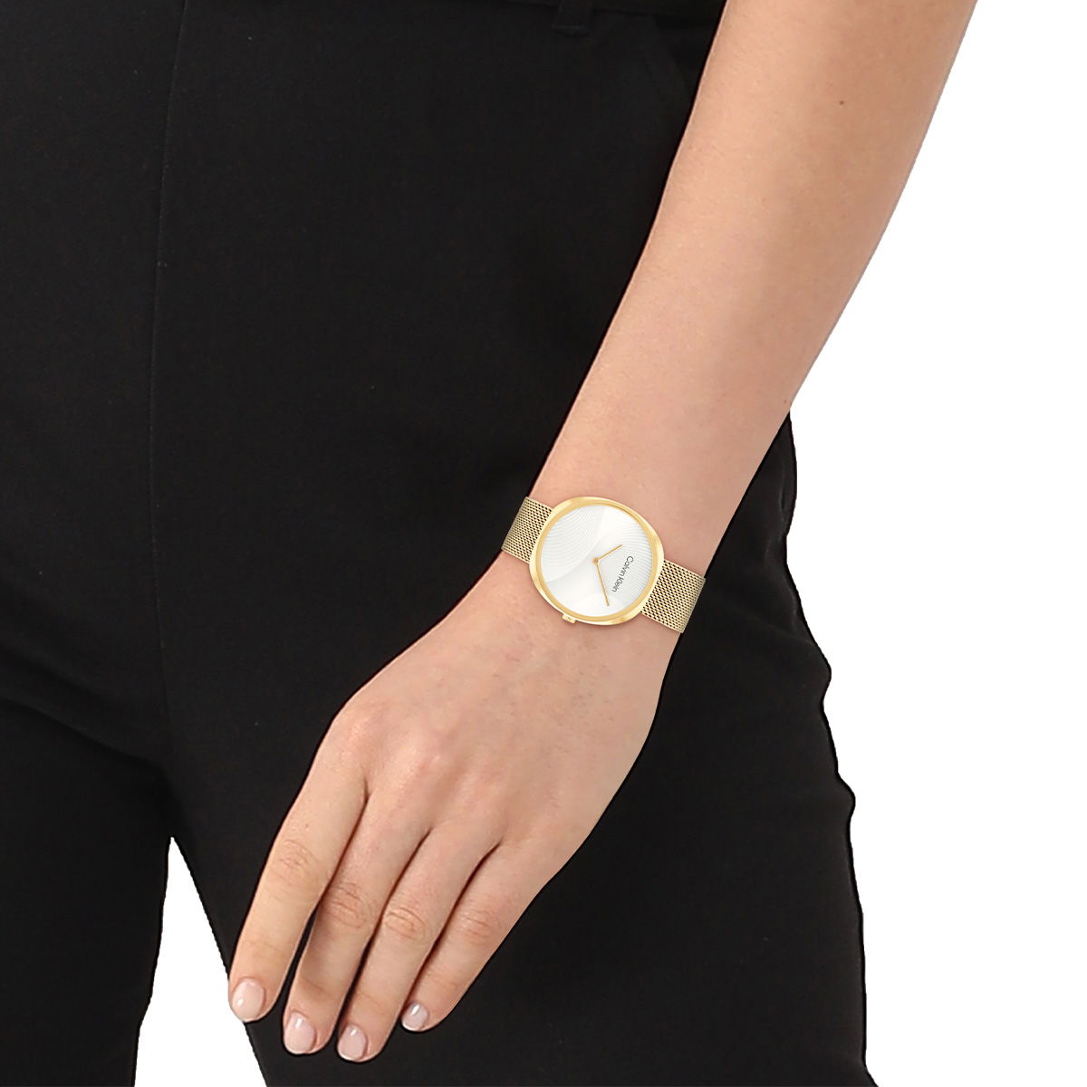 Calvin Klein Ck25200246 Kadın Kol Saati