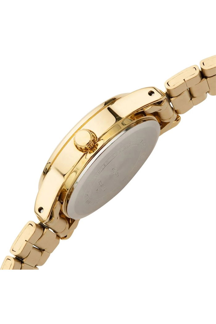 Casio Ltp-v005g-1budf Kadın Kol Saati