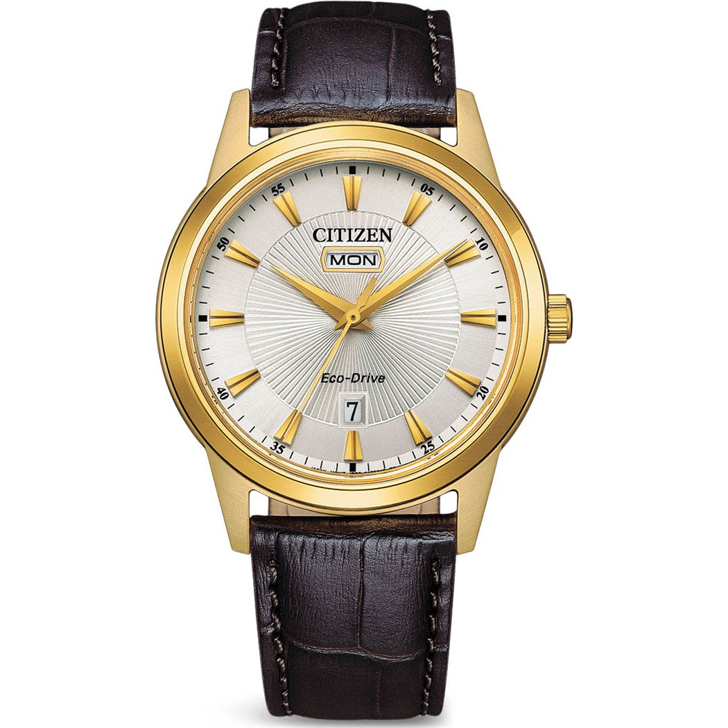 Citizen Aw0102-13ae Erkek Kol Saati