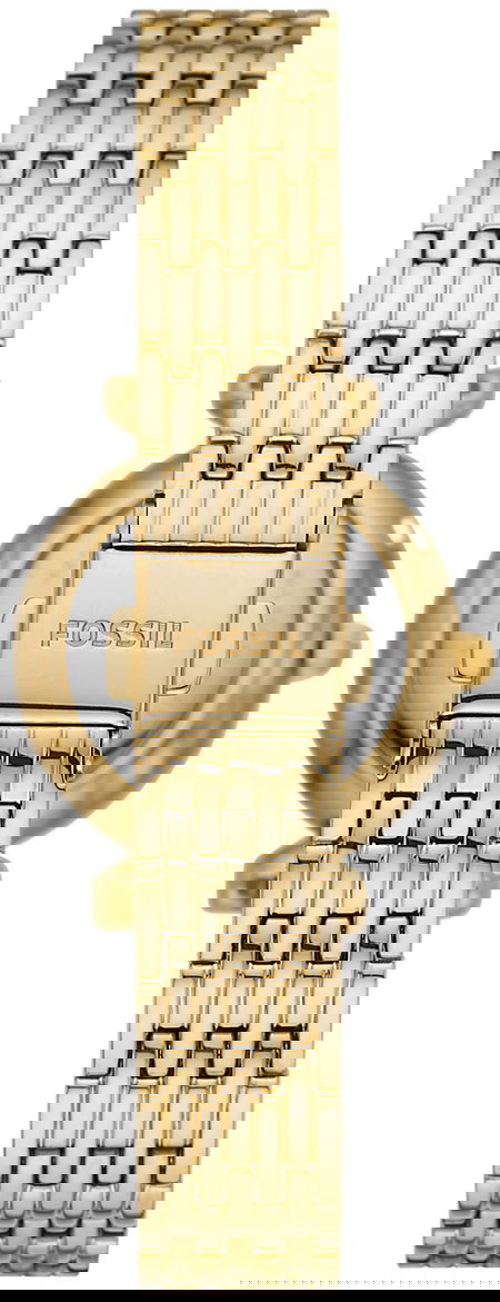 Fossil Fes5309 Kadın Kol Saati