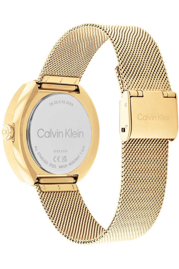 Calvin Klein Ck25200339 Kadın Kol Saati