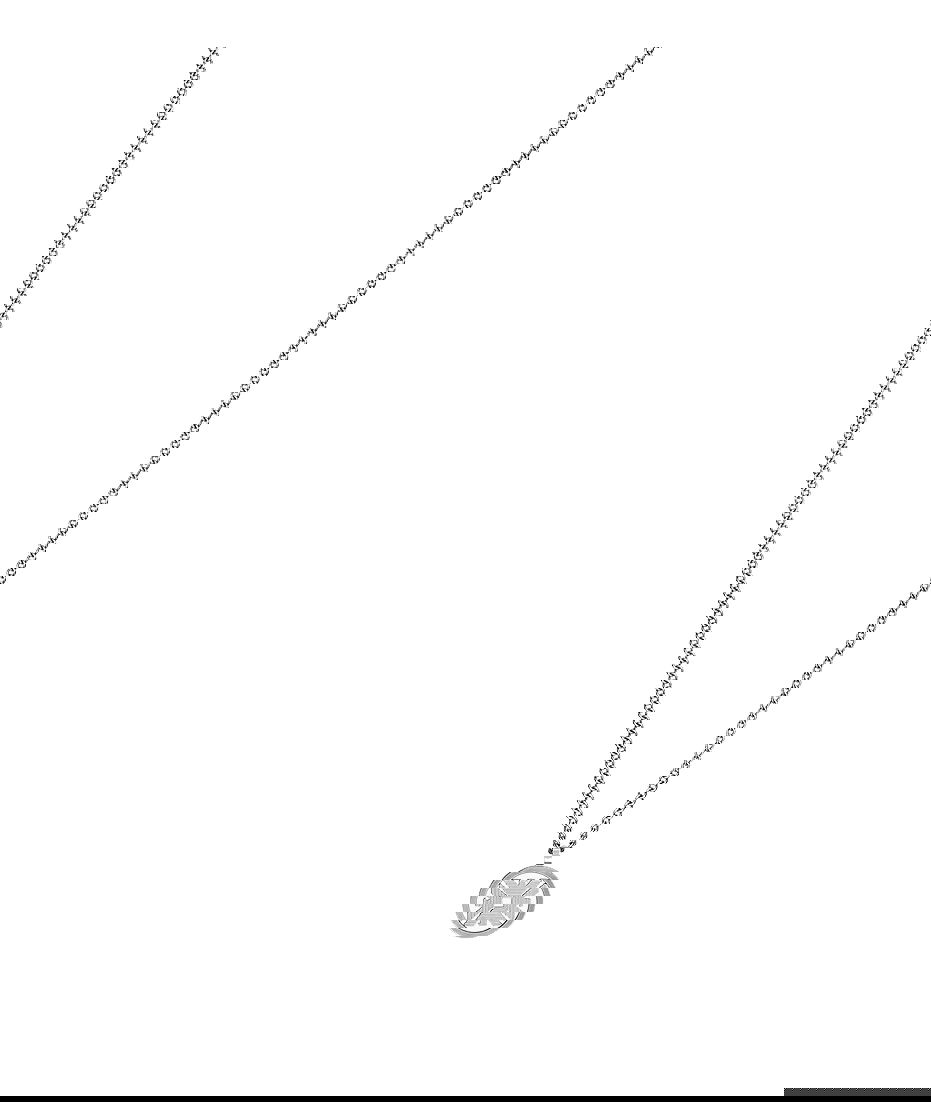 Emporio Armani Ajegs3040-040 Erkek Kolye