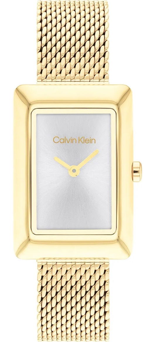 Calvin Klein Ck25200396 Kadın Kol Saati