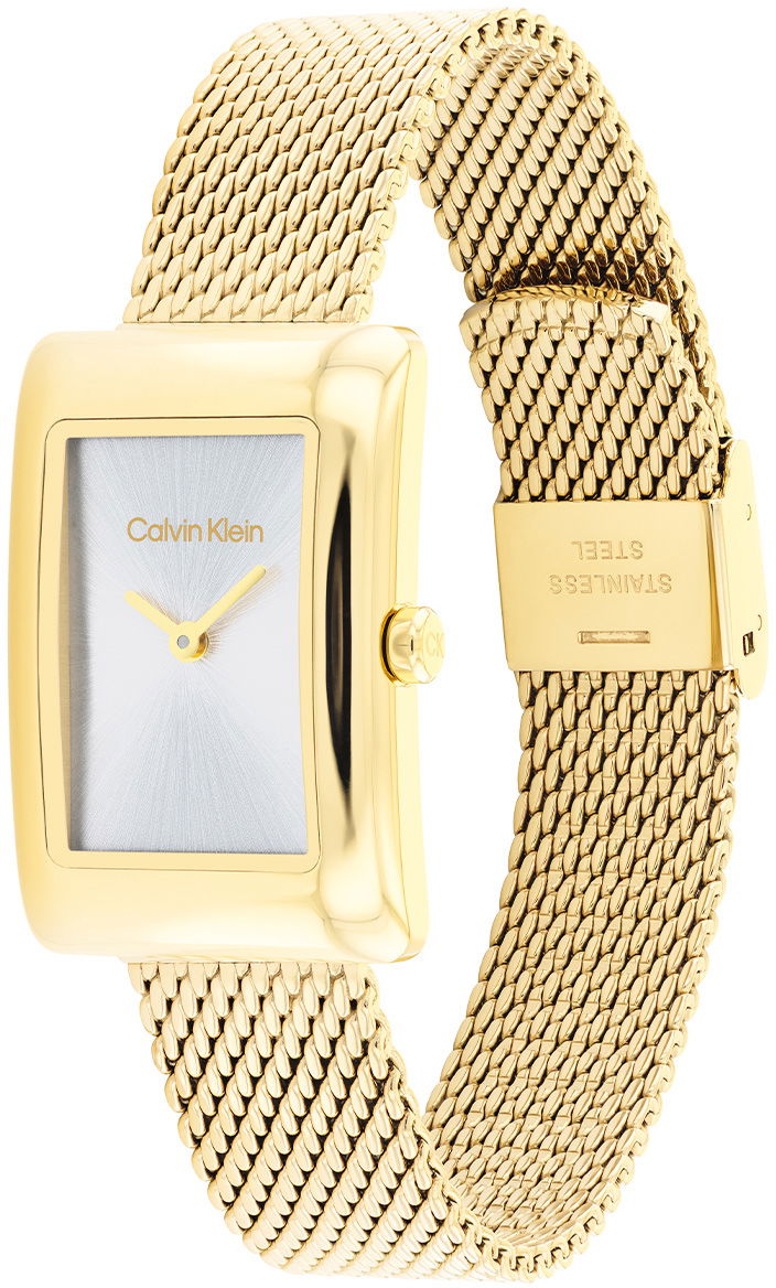 Calvin Klein Ck25200396 Kadın Kol Saati