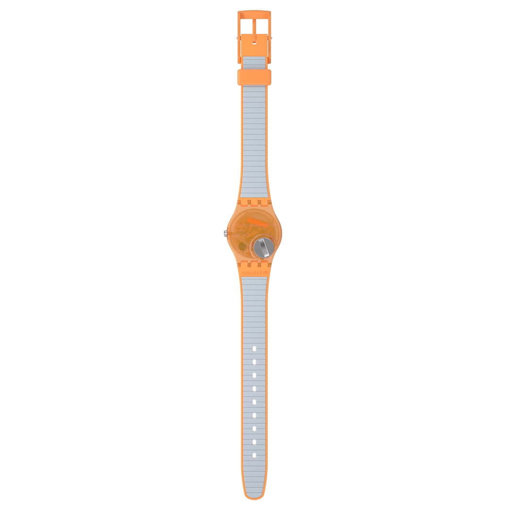 Swatch LO116 VIEW FROM A MESA