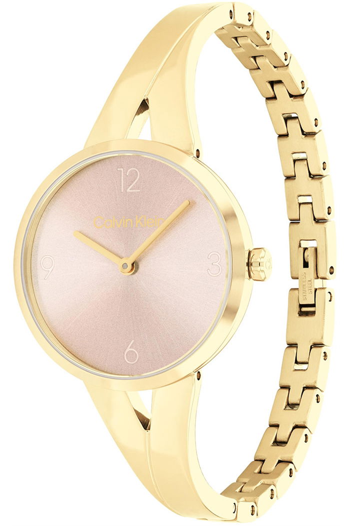Calvin Klein Ck25100027 Kadın Kol Saati