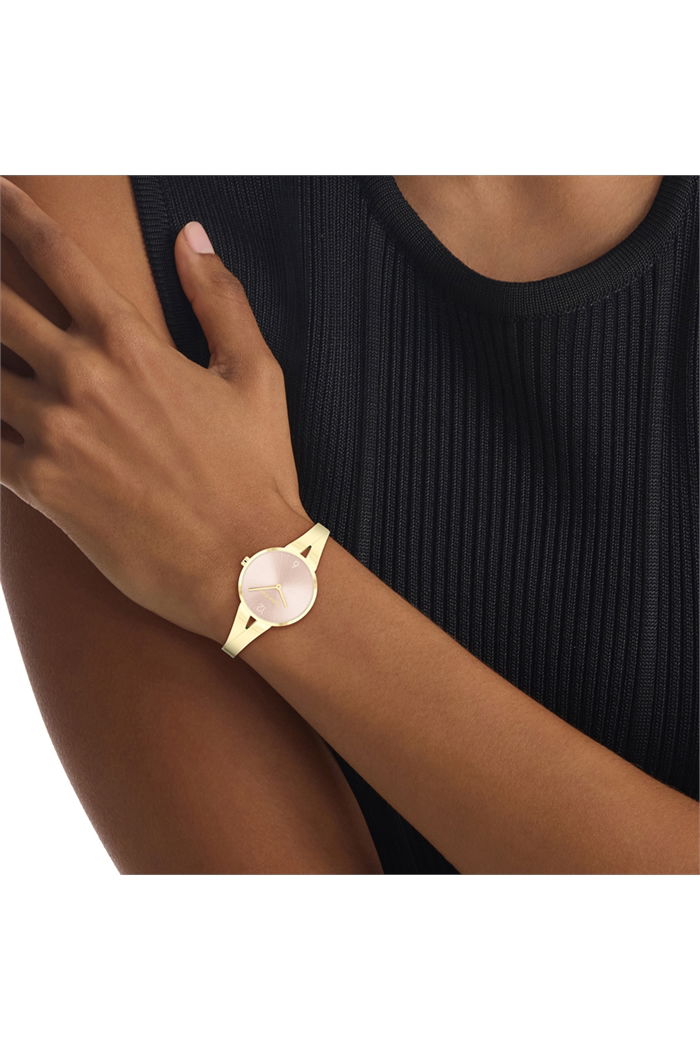 Calvin Klein Ck25100027 Kadın Kol Saati