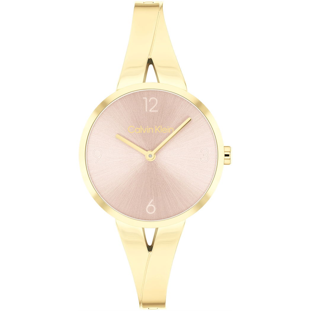 Calvin Klein Ck25100027 Kadın Kol Saati