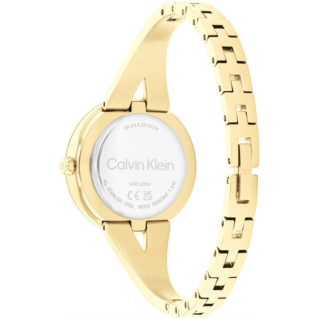 Calvin Klein Ck25100027 Kadın Kol Saati