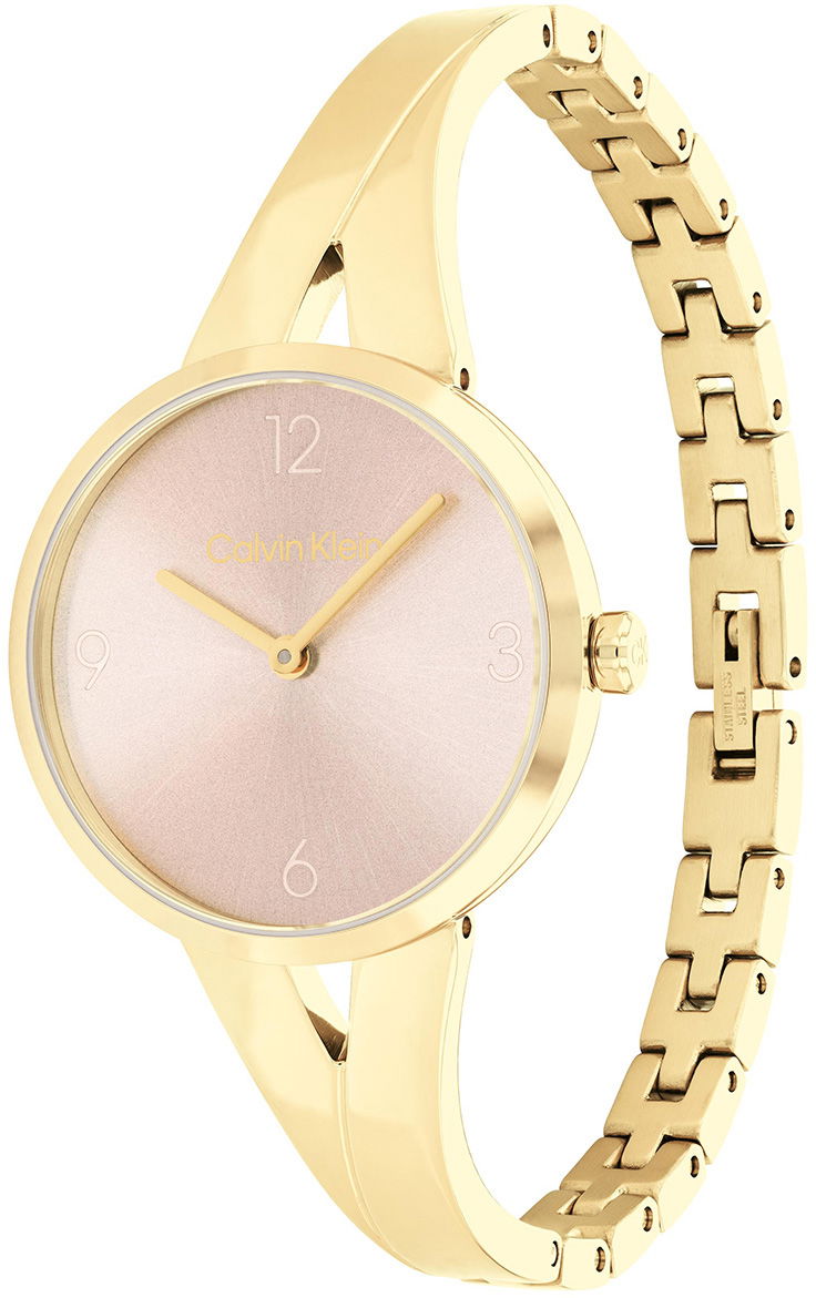 Calvin Klein Ck25100027 Kadın Kol Saati