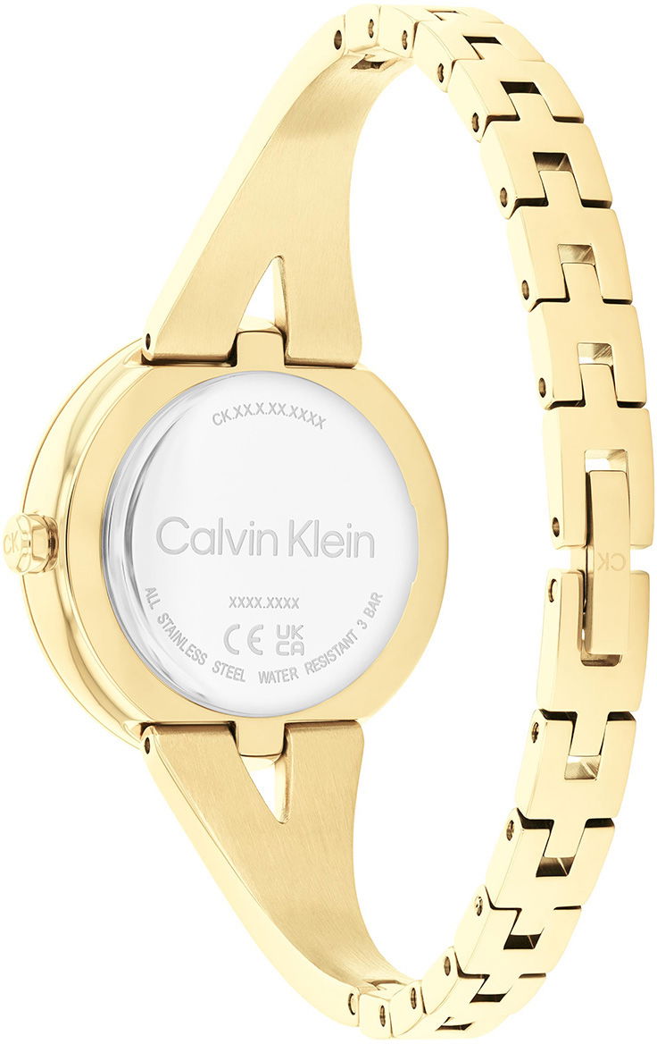 Calvin Klein Ck25100027 Kadın Kol Saati