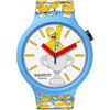 swatch-sb05z100.jpg