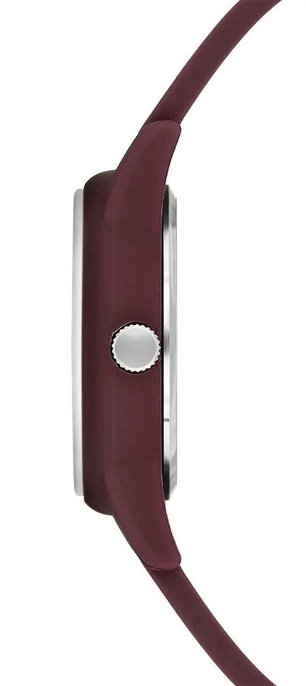 U.S. Polo Assn. Uspa2089-05 Kadın Kol Saati