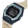 gbx-100tt-2dr_2.jpg