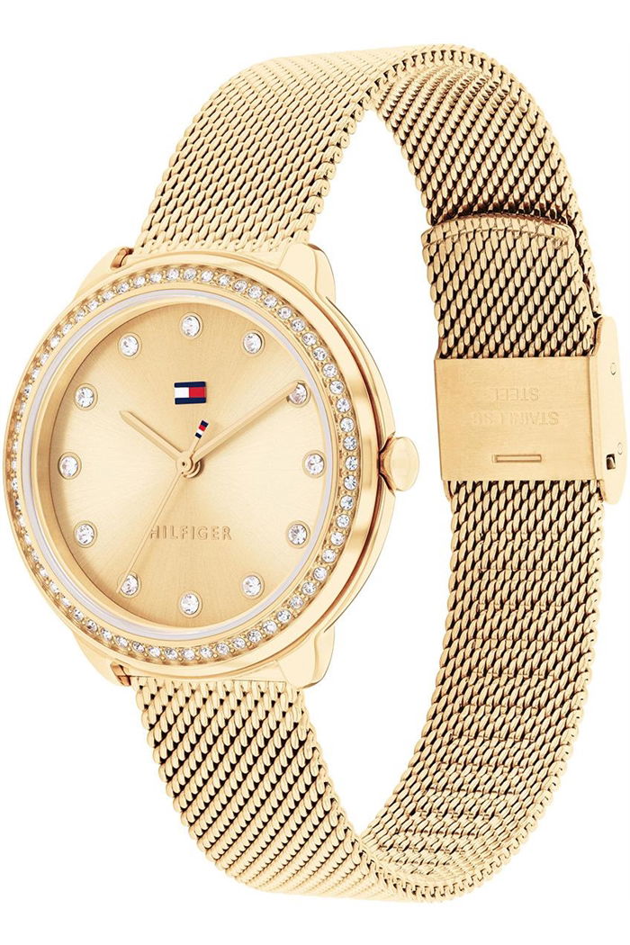 Tommy Hilfiger Th1782699 Kadın Kol Saati