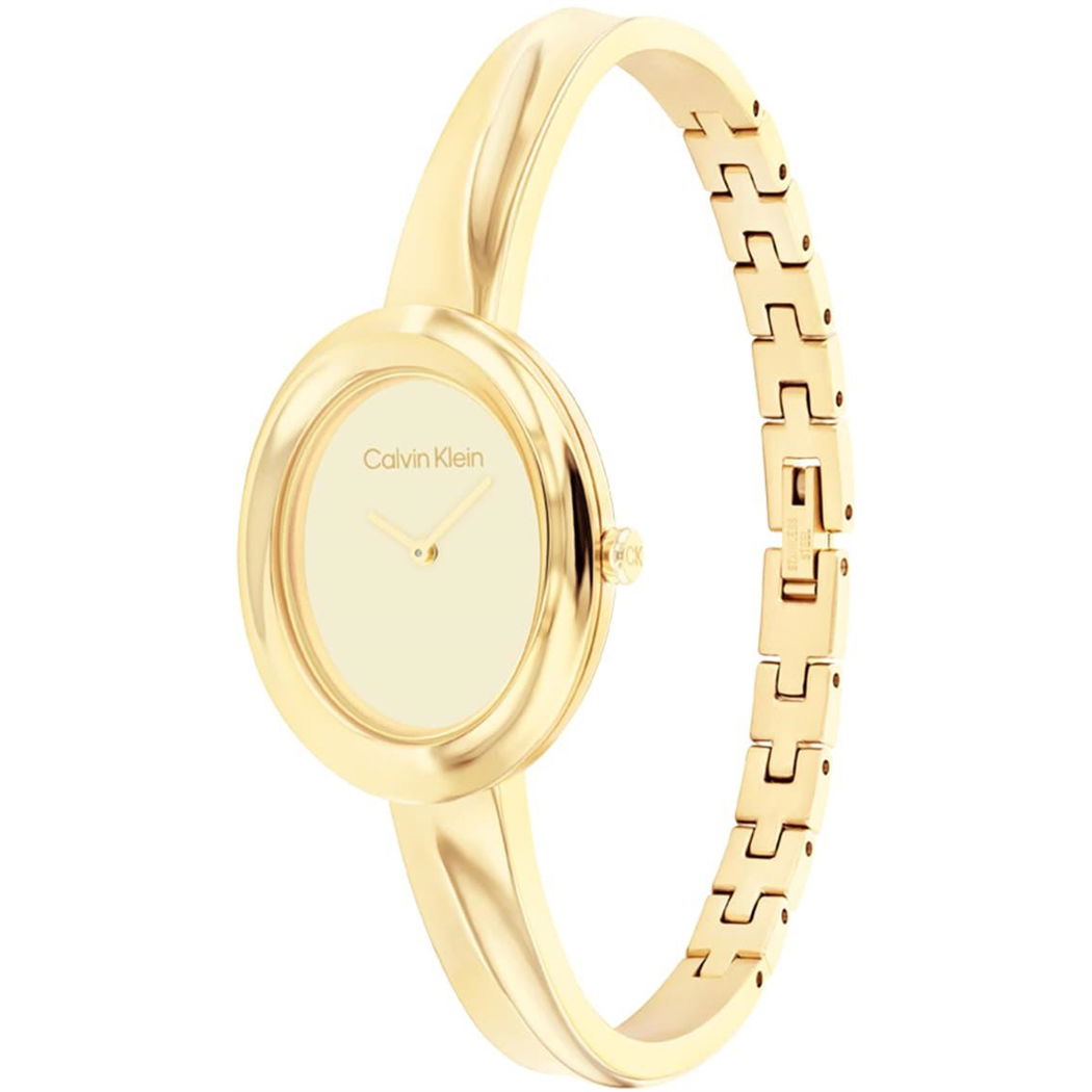 Calvin Klein Ck25100056 Kadın Kol Saati