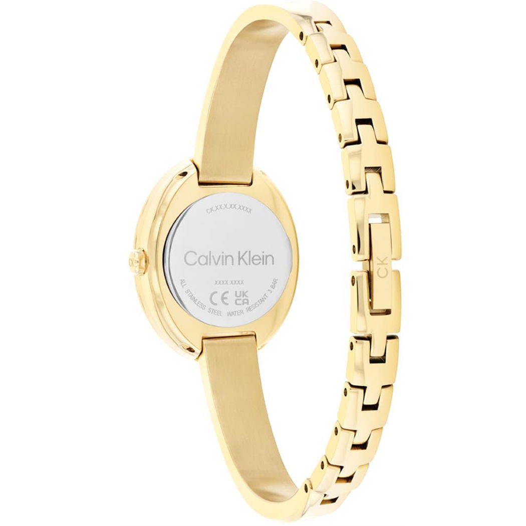 Calvin Klein Ck25100056 Kadın Kol Saati