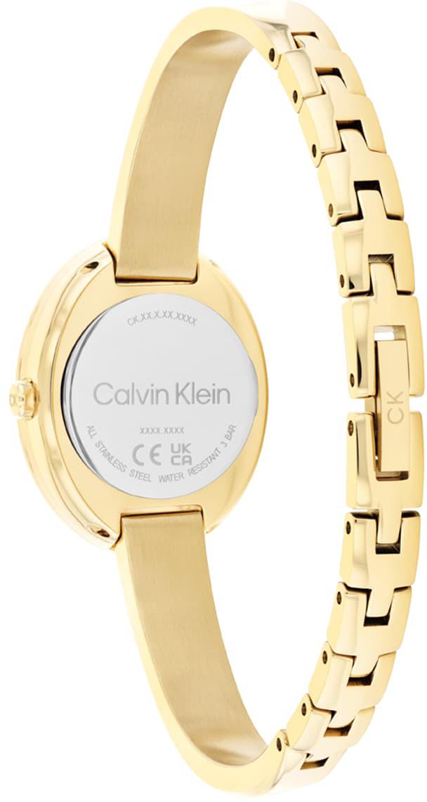 Calvin Klein Ck25100056 Kadın Kol Saati
