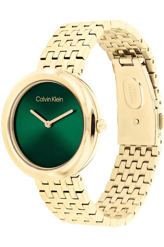 Calvin Klein Ck25100066 Kadın Kol Saati