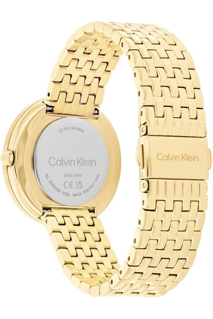 Calvin Klein Ck25100066 Kadın Kol Saati