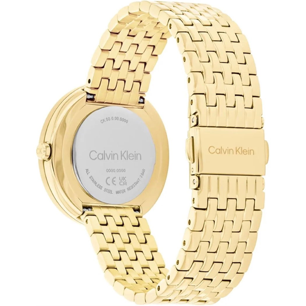 Calvin Klein Ck25100066 Kadın Kol Saati