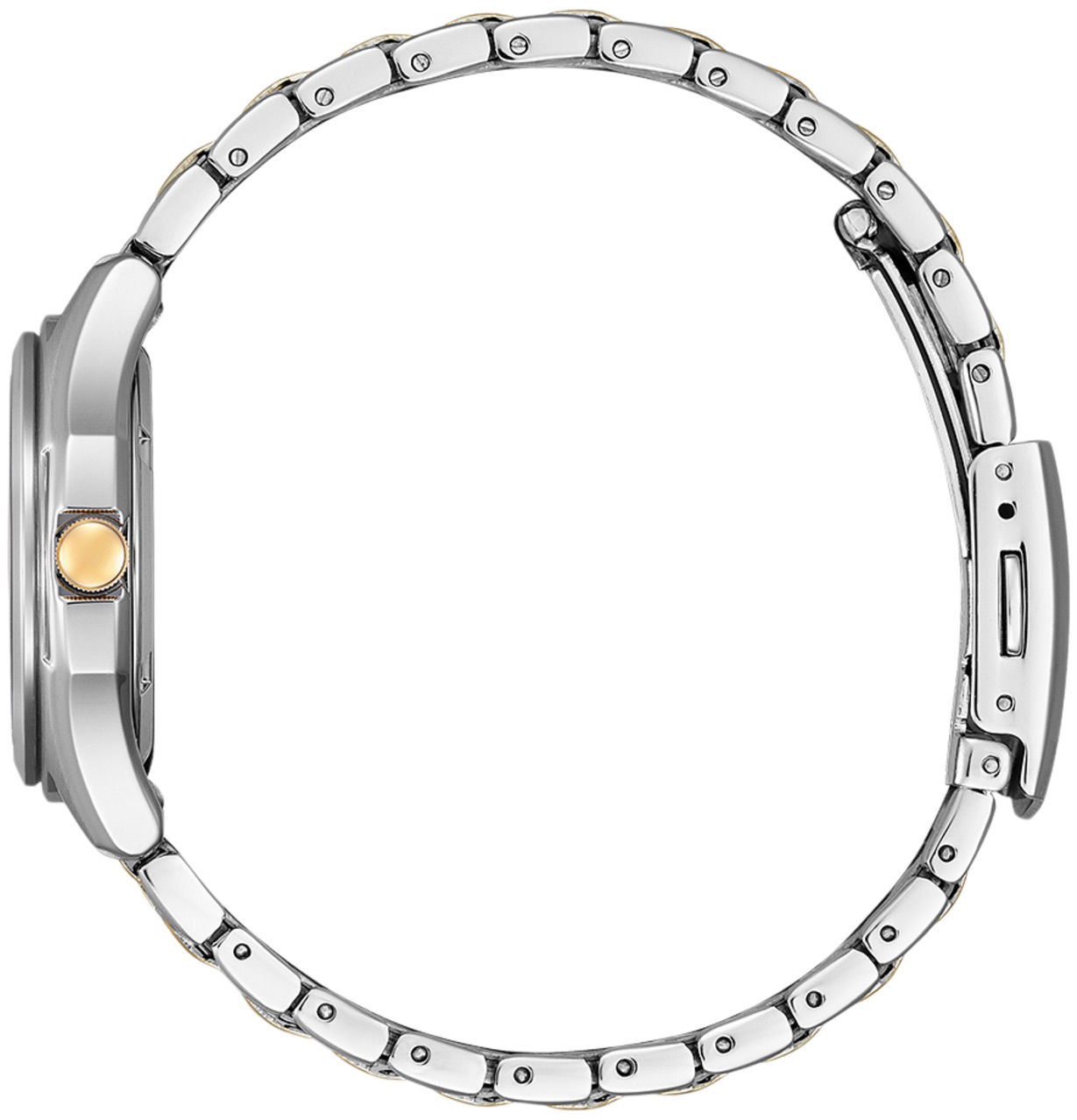 Citizen Fe2116-85A Kadın Kol Saati