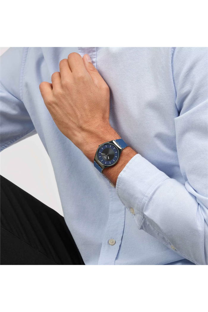 Swatch Syxb108 DUET AT DUSK