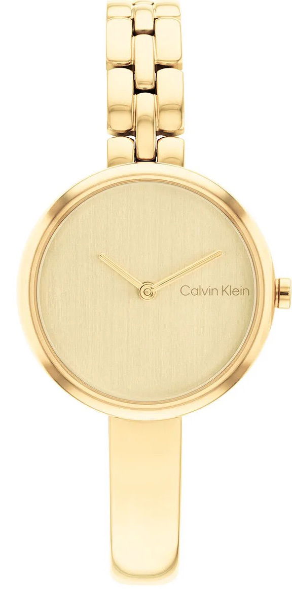 Calvin Klein Ck25200279 Kadın Kol Saati