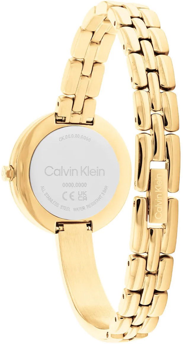 Calvin Klein Ck25200279 Kadın Kol Saati