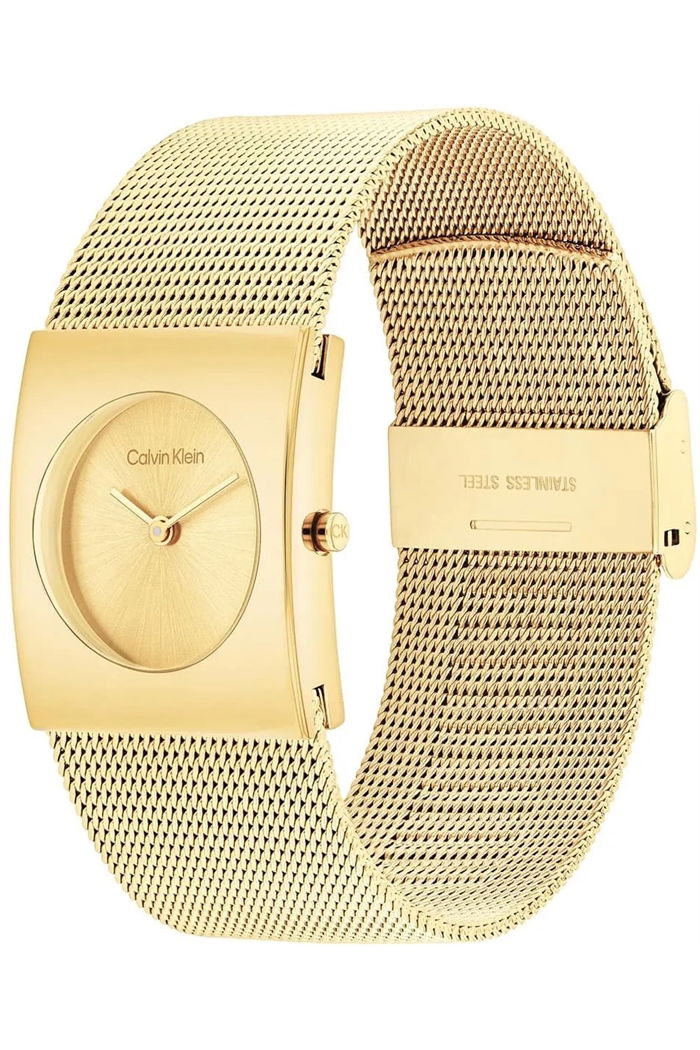 Calvin Klein Ck25100062 Kadın Kol Saati