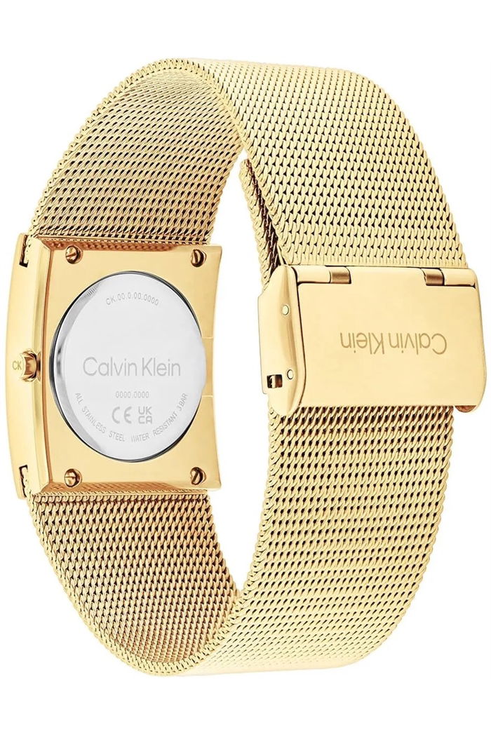 Calvin Klein Ck25100062 Kadın Kol Saati