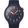 swatch-sb01s700.jpg