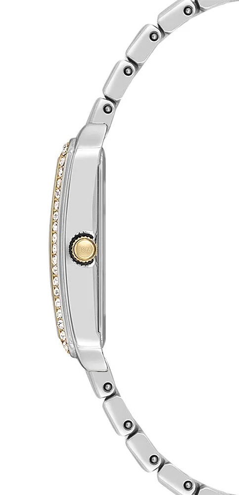 U.S. Polo Assn. Uspa2108-03 Kadın Kol Saati