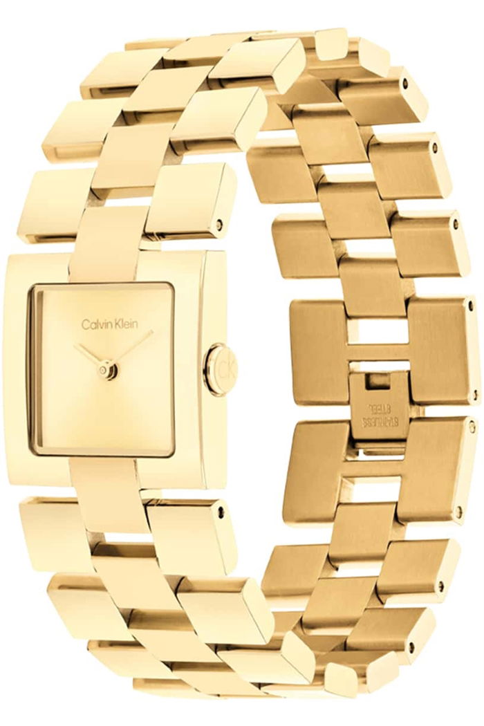 Calvin Klein Ck25100089 Kadın Kol Saati