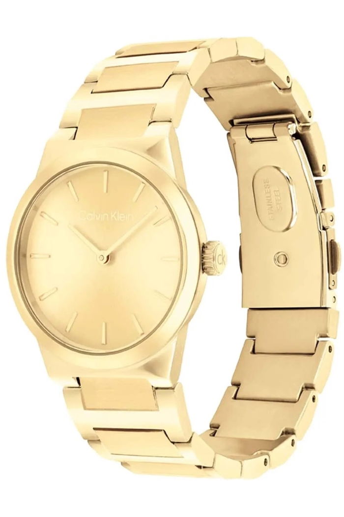 Calvin Klein Ck25100077 Kadın Kol Saati